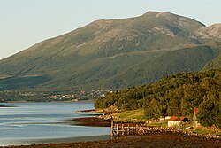 Aureosen 1